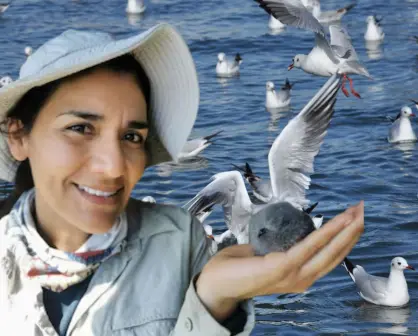 De Baja California Sur para el mundo: así protege Yuliana Bedolla las aves del Pacífico mexicano
