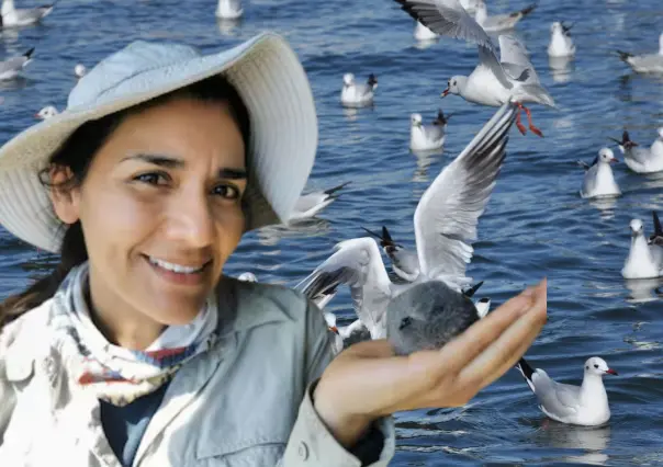 De Baja California Sur para el mundo: así protege Yuliana Bedolla las aves del Pacífico mexicano