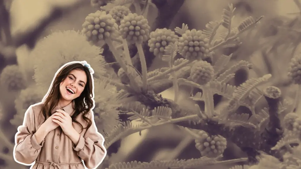 Este es el árbol nativo de Nuevo León que tiene bellas flores amarillas