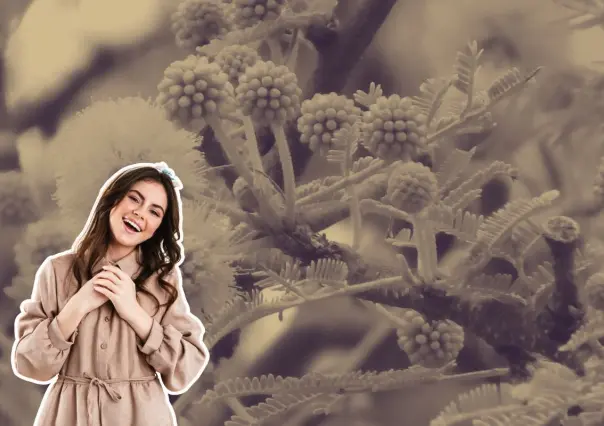Este es el árbol nativo de Nuevo León que tiene bellas flores amarillas