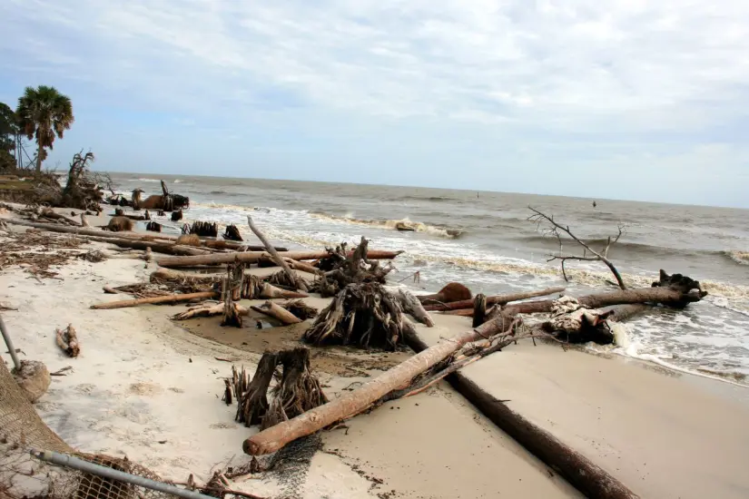 Imagen ilustrativa de la devastación provocada por un huracán en regiones costeras. Foto: Canva