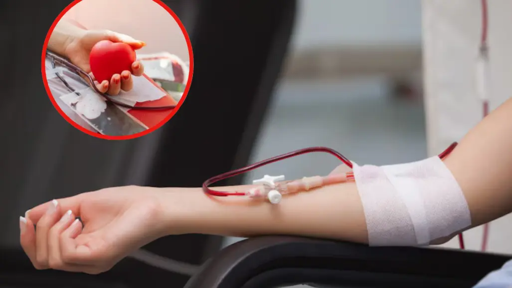 ¿Cómo sumarte al maratón de Donación de Sangre en Ciudad Victoria? Esto se sabe