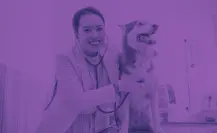¿Dónde puedo atender a mi mascota en Tlaxcala?