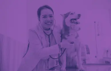 ¿Dónde puedo atender a mi mascota en Tlaxcala?