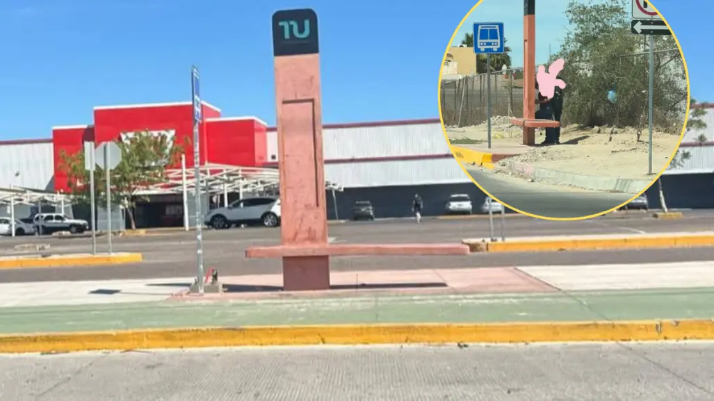 Tiburón Urbano cumple 10 meses en La Paz y la sombra prometida de paraderos sigue sin llegar