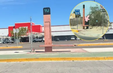 Tiburón Urbano cumple 10 meses en La Paz y la sombra prometida de paraderos sigue sin llegar