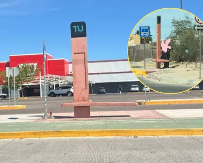 Tiburón Urbano cumple 10 meses en La Paz y la sombra prometida de paraderos sigue sin llegar