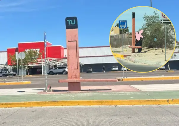 Tiburón Urbano cumple 10 meses en La Paz y la sombra prometida de paraderos sigue sin llegar