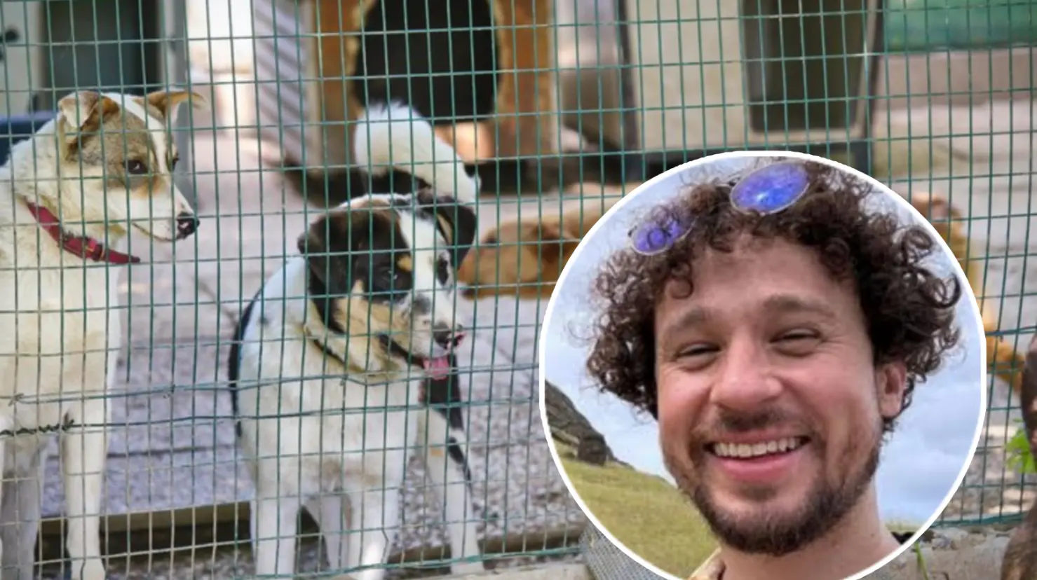 Los rescatistas de Huellitas Amor Sin Fronteras enfrentan una crisis económica y apelan a la solidaridad colectiva. Imagen: @LuisitoComunica/Freepik