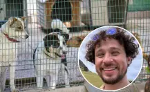 ¡Luisito Comunica, te buscan! Rescatistas de animales en Edomex hacen un llamado especial