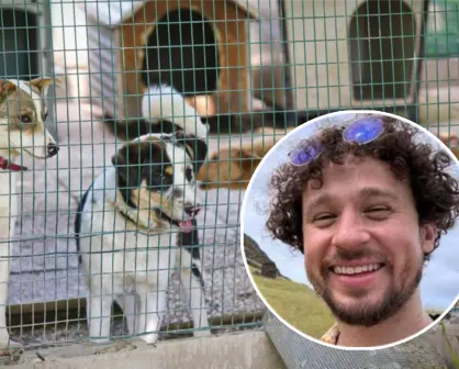 ¡Luisito Comunica, te buscan! Rescatistas de animales en Edomex hacen un llamado especial