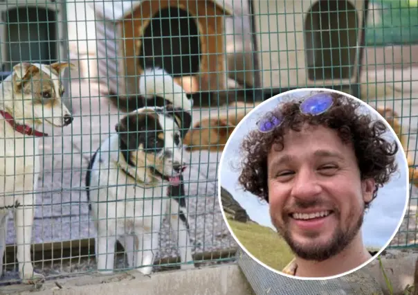 ¡Luisito Comunica, te buscan! Rescatistas de animales en Edomex hacen un llamado especial