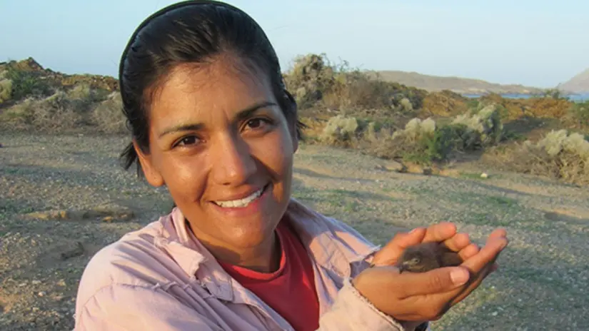 Foto: Conservación de Islas