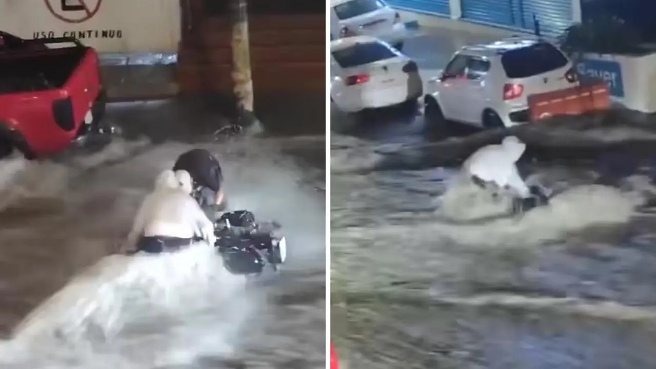 VIDEO | Joven arriesga su vida para salvar su moto de las inundaciones en Edomex. Foto: Reporte Edoméx