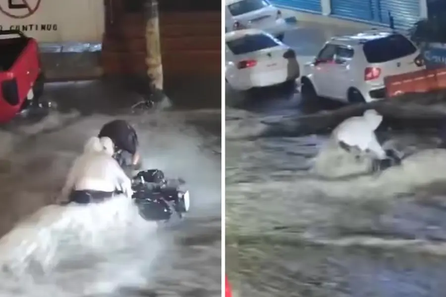 VIDEO | Joven arriesga su vida para salvar su moto de las inundaciones en Edomex