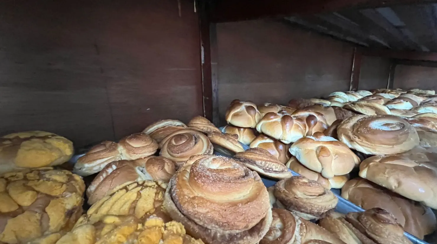 ¿Cuáles son los panes dulces más consumidos en esta temporada de lluvias?. Foto: Daniel Rodríguez