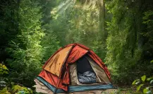 Estas son algunas recomendaciones para acampar en el bosque de Durango 