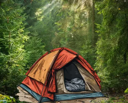 Estas son algunas recomendaciones para acampar en el bosque de Durango 