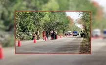 Accidentes en Yucatán: persona pierde la vida tras chocar su camioneta contra un árbol