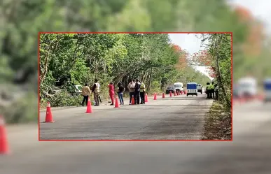 Accidentes en Yucatán: persona pierde la vida tras chocar su camioneta contra un árbol