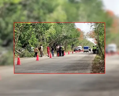 Accidentes en Yucatán: persona pierde la vida tras chocar su camioneta contra un árbol