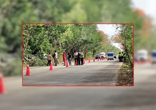 Accidentes en Yucatán: persona pierde la vida tras chocar su camioneta contra un árbol