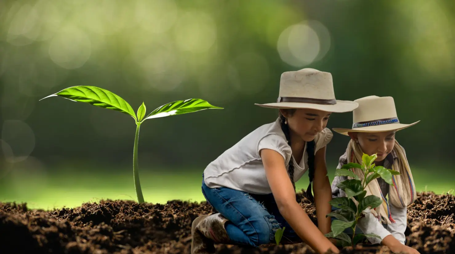 Así puedes contribuir al cuidado del medio ambiente en Torreón. (Fotografía: Canva)
