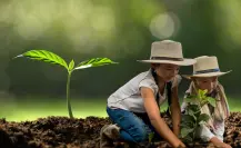 Planta un árbol en Torreón: convocan a jornada de reforestación en Bosque Venustiano Carranza