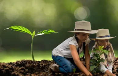 Planta un árbol en Torreón: convocan a jornada de reforestación en Bosque Venustiano Carranza