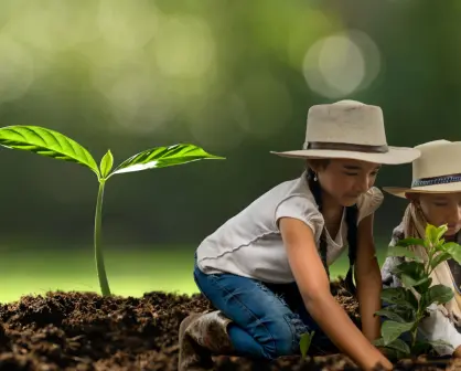 Planta un árbol en Torreón: convocan a jornada de reforestación en Bosque Venustiano Carranza