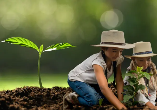 Planta un árbol en Torreón: convocan a jornada de reforestación en Bosque Venustiano Carranza