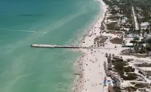 Deforestación en Sisal: confirman que dos personas fueron vinculadas a proceso en Yucatán