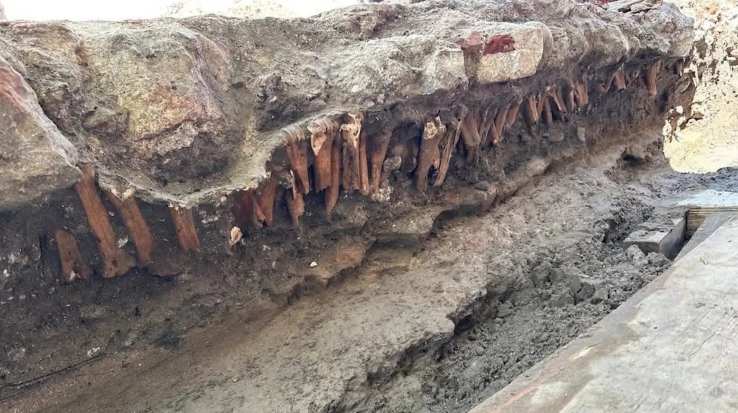 Recuperan restos arqueológicos en obras de remodelación del centro histórico de Veracruz. Foto: Arqueóloga Judith Hernández