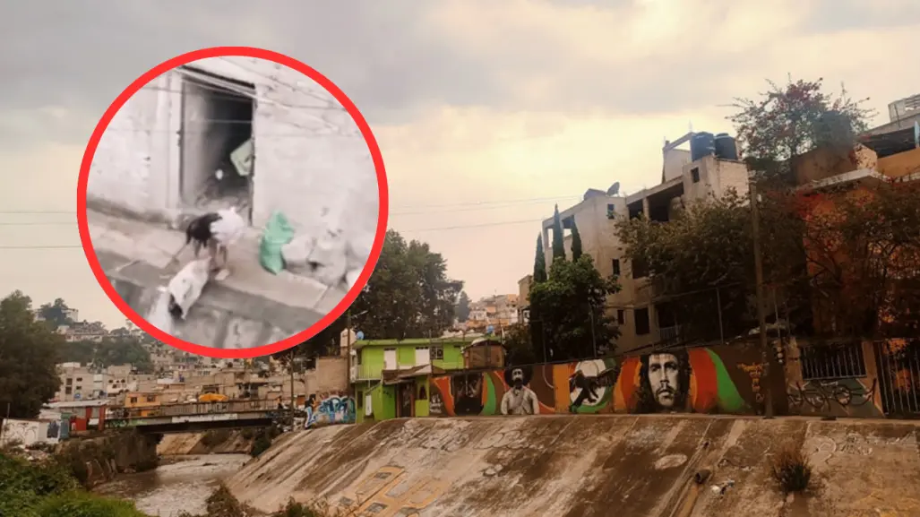 VIDEO | Captan a mujer tirando basura al Río Hondo en Naucalpan, Edomex