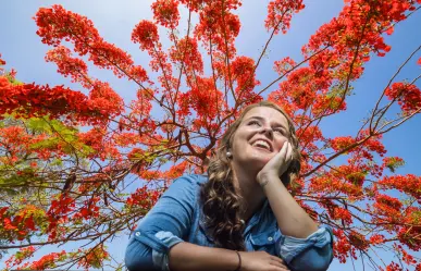 Este es el exótico y colorido árbol que llegó a Yucatán desde África