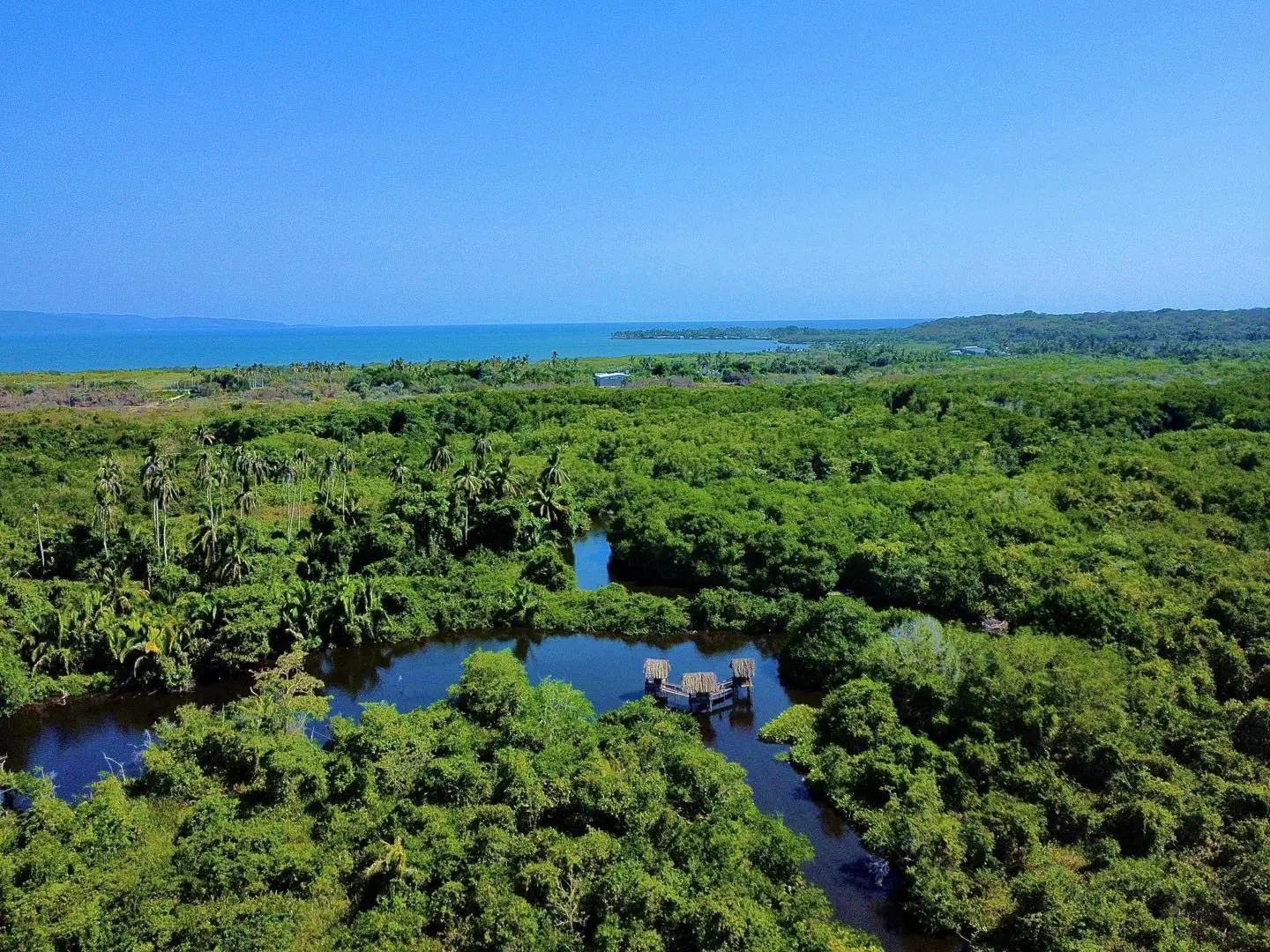El Parque Nacional La Tovara es uno de los mejores sitios para un paseo en lancha, es un recorrido por el corazón de la naturaleza en Nayarit. Foto: FB La Tovara