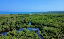 Nayarit: Estos son los 3 mejores lugares para pasear en lancha en tus próximas vacaciones