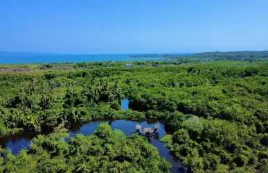Nayarit: Estos son los 3 mejores lugares para pasear en lancha en tus próximas vacaciones