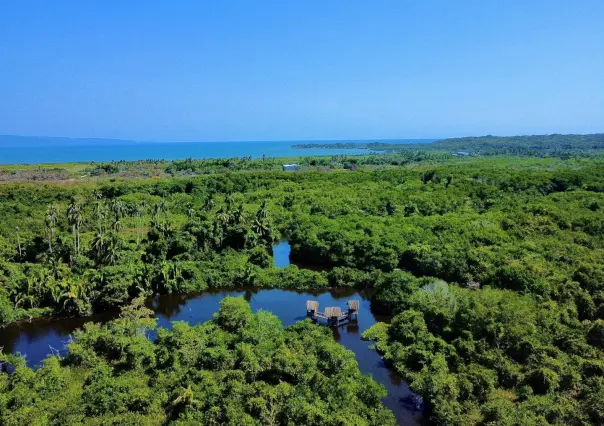 Nayarit: Estos son los 3 mejores lugares para pasear en lancha en tus próximas vacaciones