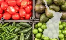 Promueve Tamaulipas exportación agroalimentaria consolidando puentes comerciales