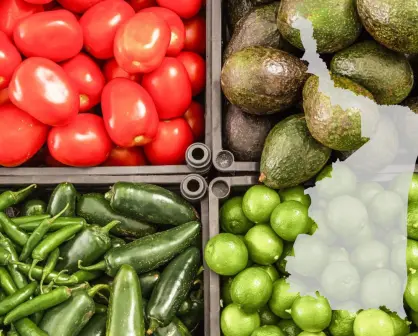 Promueve Tamaulipas exportación agroalimentaria consolidando puentes comerciales