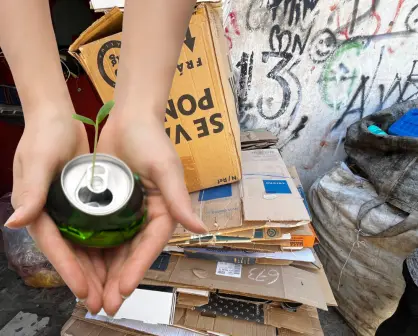 Esto puedes ganar desde casa juntando materiales de reciclaje en Durango