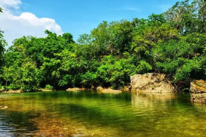 Disfruta de un buen paseo por sus alrededores | Foto: Sfera Tam