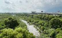 Nuevo León y Conagua firman convenio para proteger el río Santa Catarina