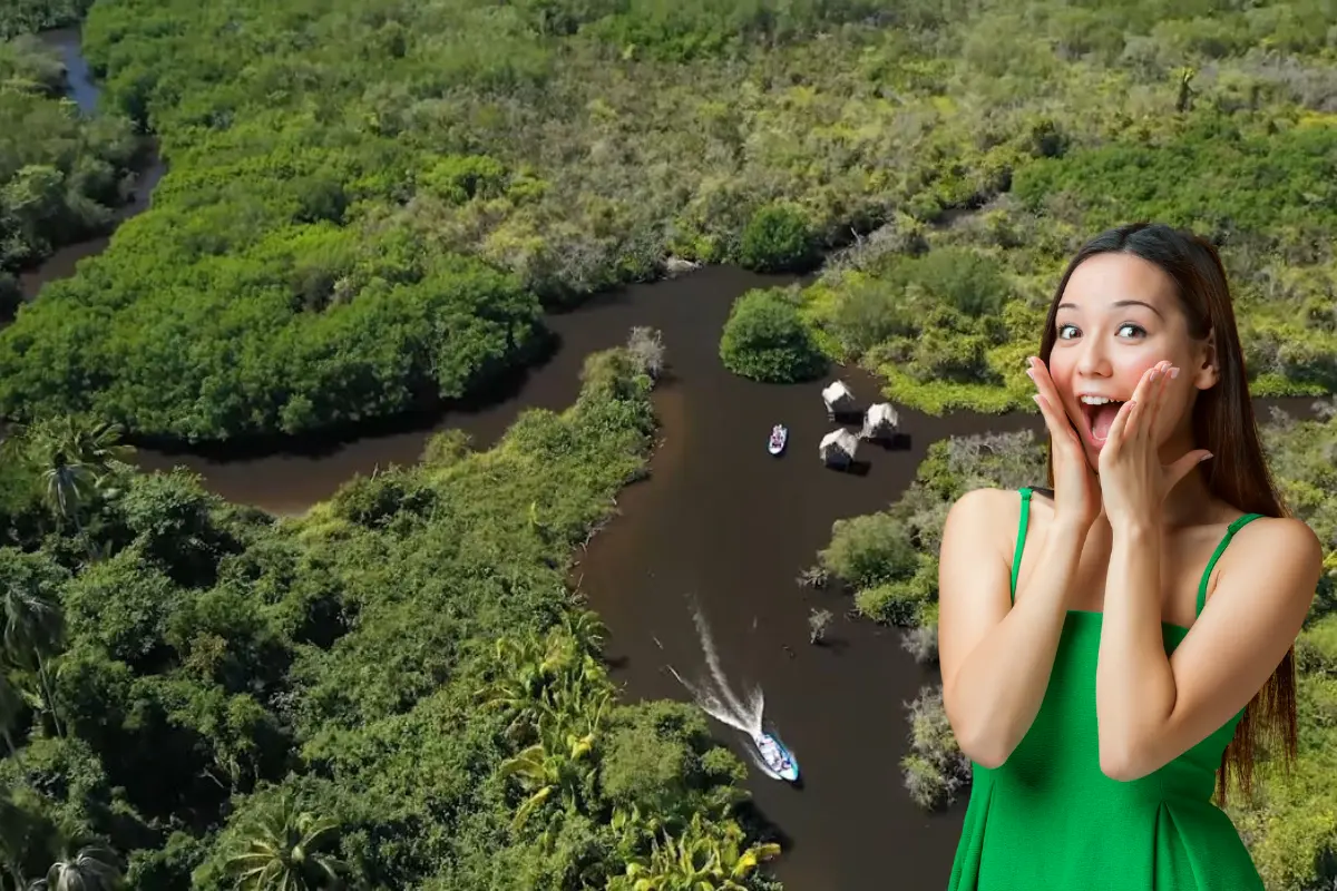 El Parque Nacional La Tovara es un área protegida icónica en Nayarit, recorrera en su totalidad tarda unas cuatro horas. Foto: Canva | Captura de pantalla YT @Foto Video Aéreo