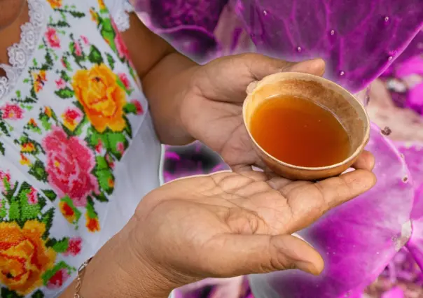 7 datos curiosos sobre el Balché, la bebida sagrada de los mayas que puedes probar en Yucatán