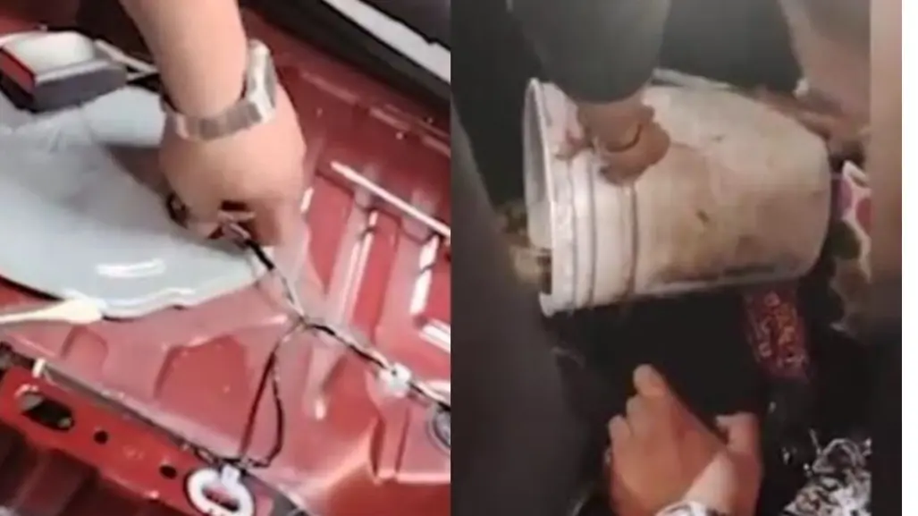 Azcapotzalco: Boa constrictor de más de un metro aparece dentro de un auto en CDMX