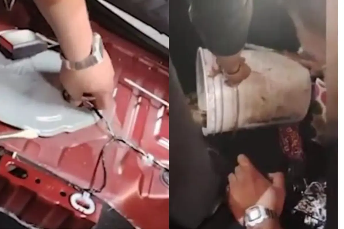 Rescate de la boa: Foto: Captura de pantalla de @SSC_CDMX