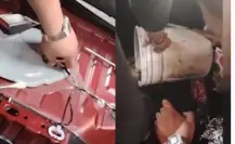 Azcapotzalco: Boa constrictor de más de un metro aparece dentro de un auto en CDMX
