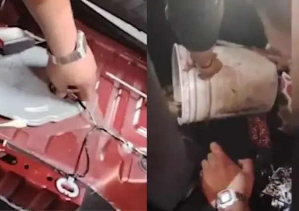 Azcapotzalco: Boa constrictor de más de un metro aparece dentro de un auto en CDMX